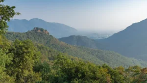 Jawadhu Hills